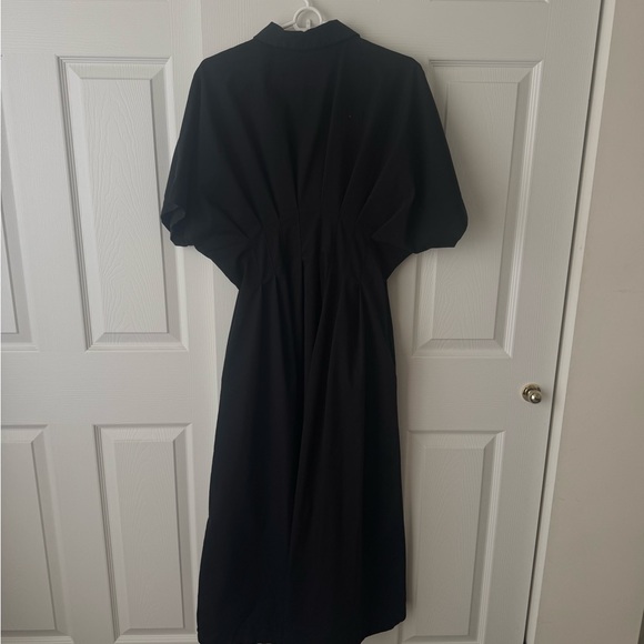 The Tobie Button-Front Pleated Maxi Dress - Picture 4 of 6